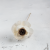 Shola Peony Titonia 3.png