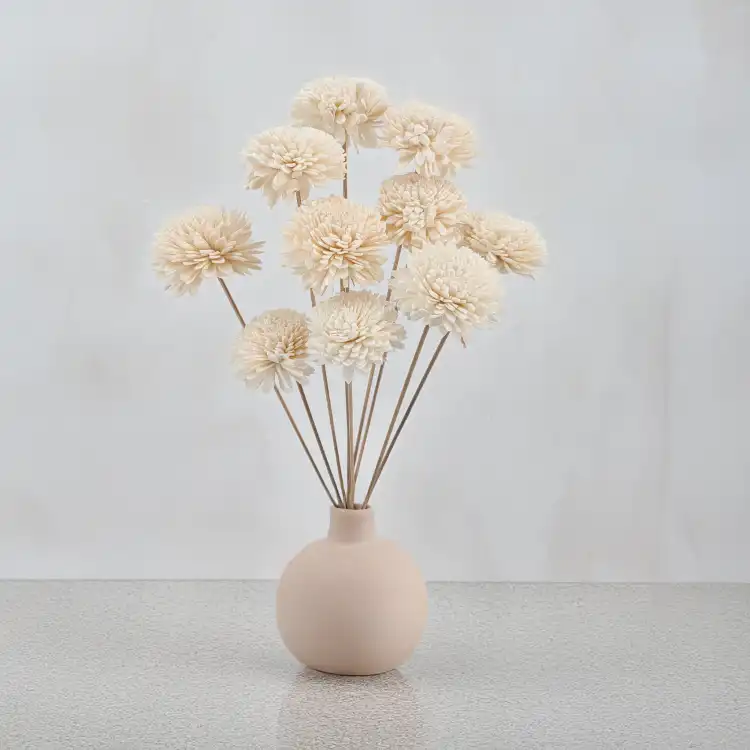 Shola Zinniz.png