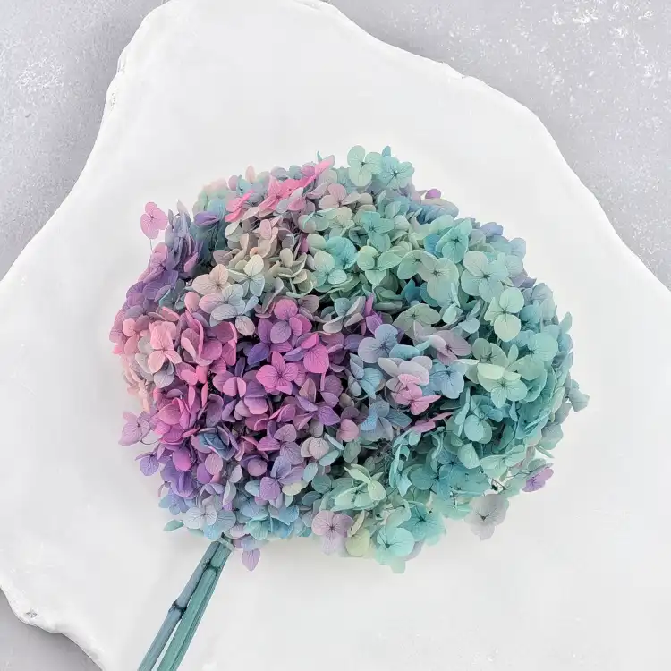 Hydrangea two tone Green 3.png