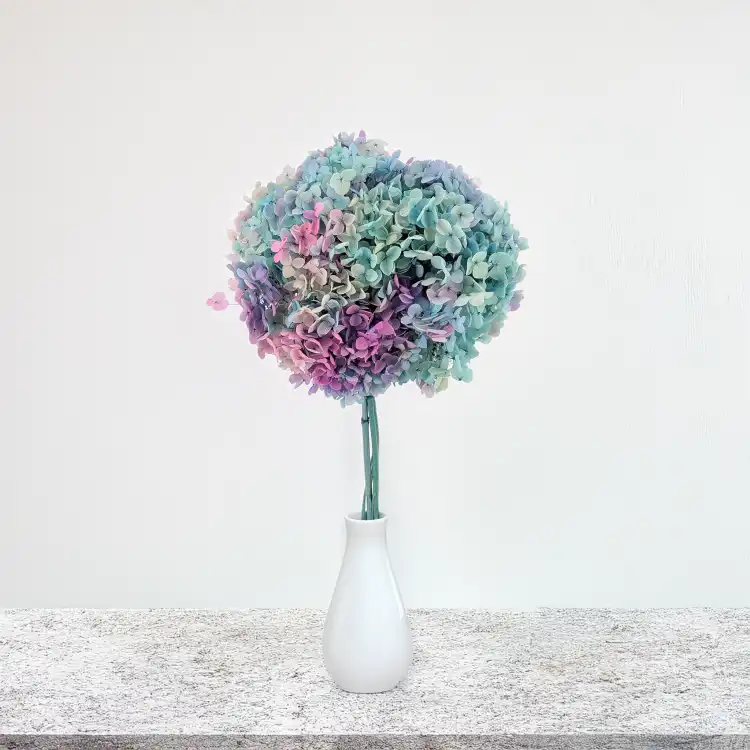 Hydrangea two tone Green 4.png
