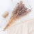 Gips dusty lavender 13 bb 3.png