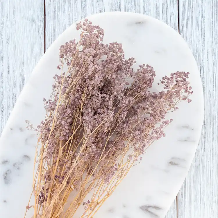 Gips dusty lavender 13 bb 4.png