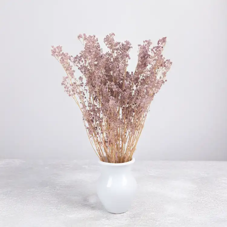 Gips dusty lavender 13 bb 5.png