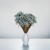 glixia Sky blue IT 5.png