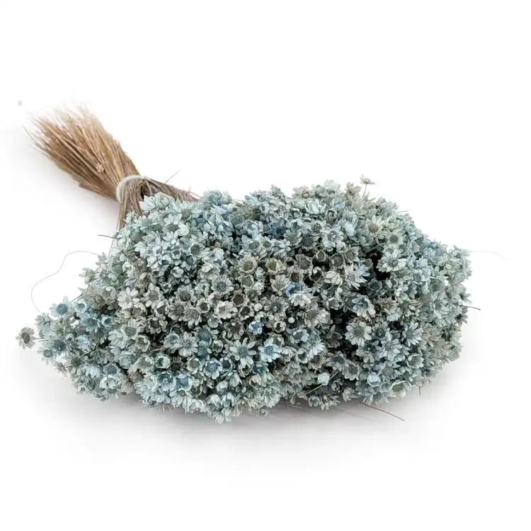 glixia Sky blue IT.png