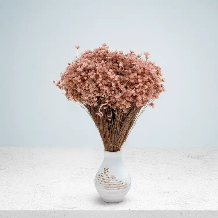 Glixia Lt pink IT 4.png