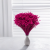 Glixia fuchsia IT 5.png