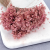 Glixia pink IT 2.png