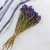 Zatrwian dark Blue sz 3.png