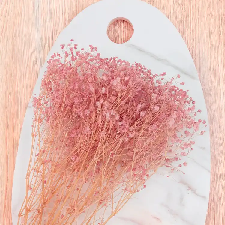 Gips BB soft pink 03 3.png