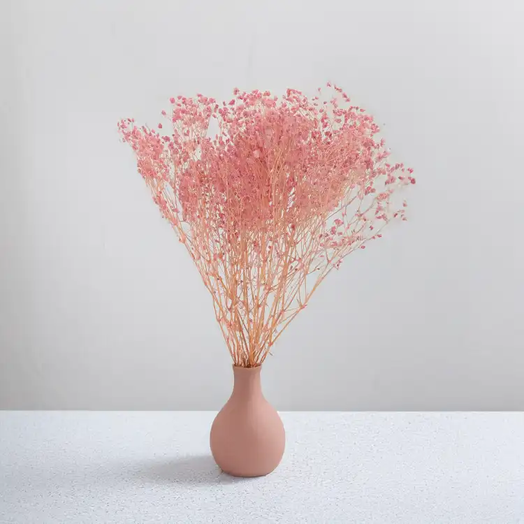 Gips BB soft pink 03 4.png