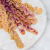 Cinerea jesienny żółty 2.png