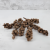 Acorn bunch naturalny 1.png