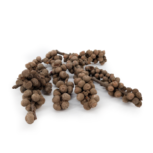 Acorn bunch naturalny.png