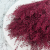 lepidium bordowe 4.png