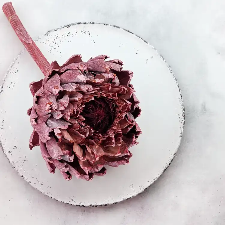Karczoch suszony – Artichoke – Frosted Red – 1szt_6.png