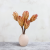 Repens red tips 5.png