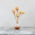 Plumosum Bleached 5.png