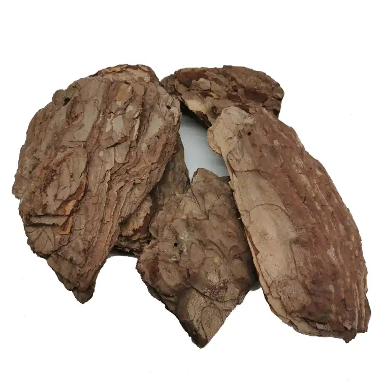 kora drewna 1.jpg