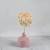 Architoke bleached 5.png