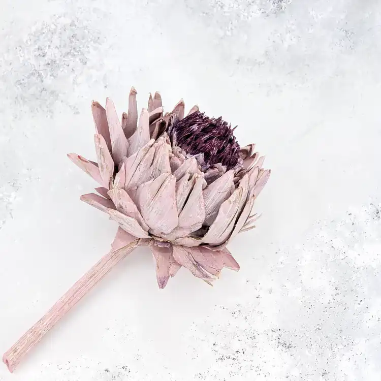 Karczoch suszony – Artichoke – Frosted Rose – 1szt_5.png