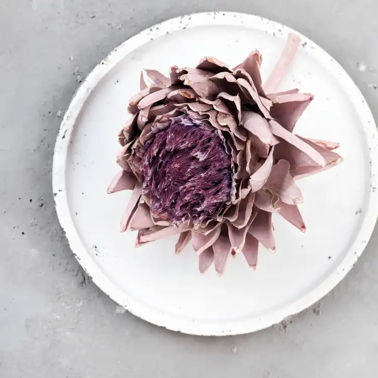 Karczoch suszony – Artichoke – Frosted Rose – 1szt_2.png