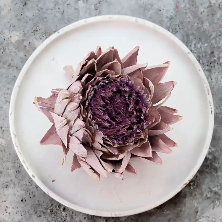 Karczoch suszony – Artichoke – Frosted Rose – 1szt_1.png