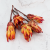 repens abs red 1.png