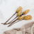 repens abs yellow 3.png