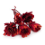 Repens cut red.png