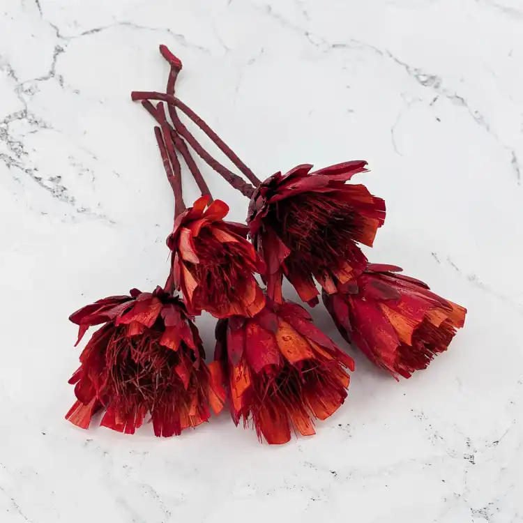 Repens cut red 1.png