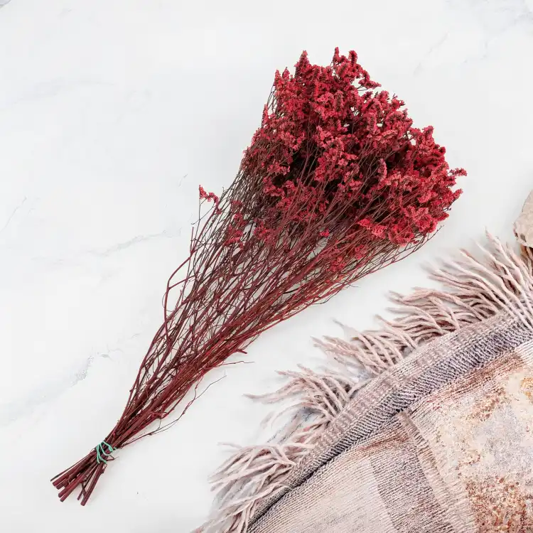 CASPEA 12 RUBY RED 3.png