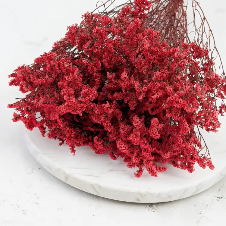 CASPEA 12 RUBY RED 5.png