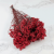 CASPEA 12 RUBY RED 1.png