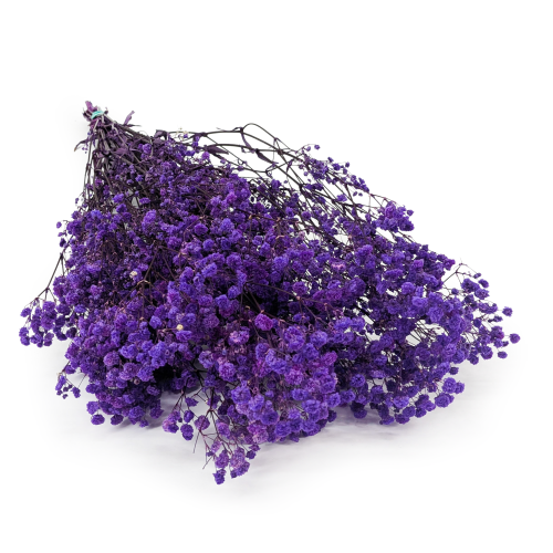 Gips Royal Fioletowa.png