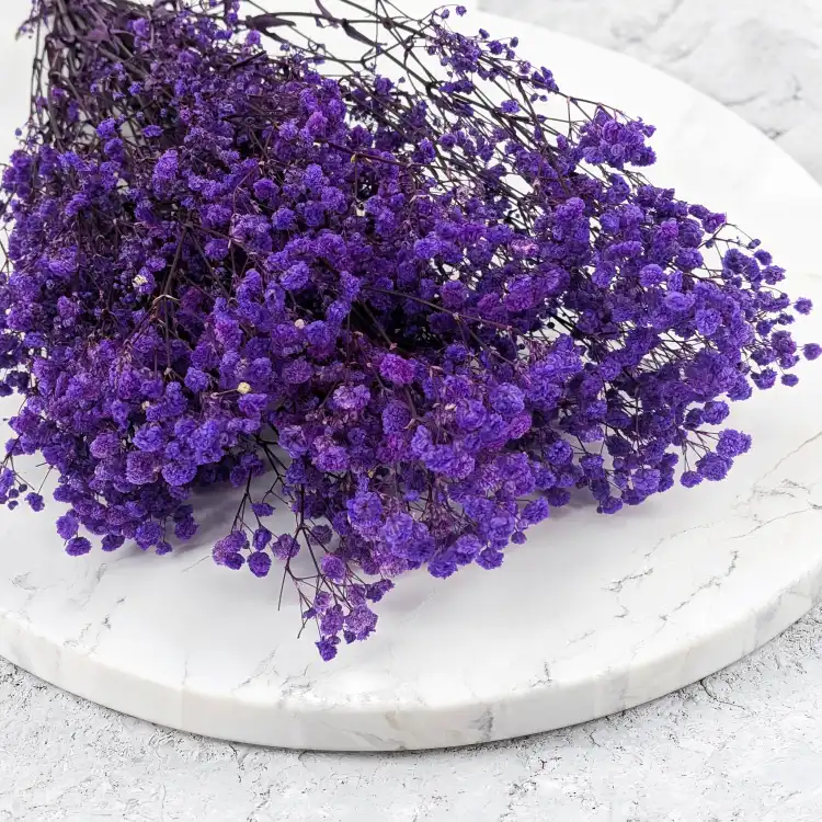 Gips Royal Fioletowa 2.png