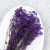 Gips Royal Fioletowa 4.png