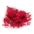 Preserved Gypsophila Deep Red Gipsówka Stabilizowana Głęboka czerwień.png