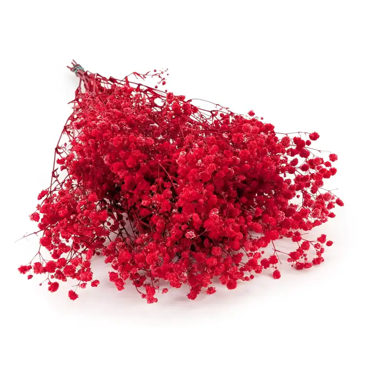 Preserved Gypsophila Deep Red Gipsówka Stabilizowana Głęboka czerwień.png
