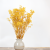 Preserved Gypsophila Lemon Cream Gipsówka Stabilizowana Krem Cytrynowy_5.png