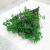 Preserved Gypsophila Green Gipsówka Stabilizowana Zielona_1.png