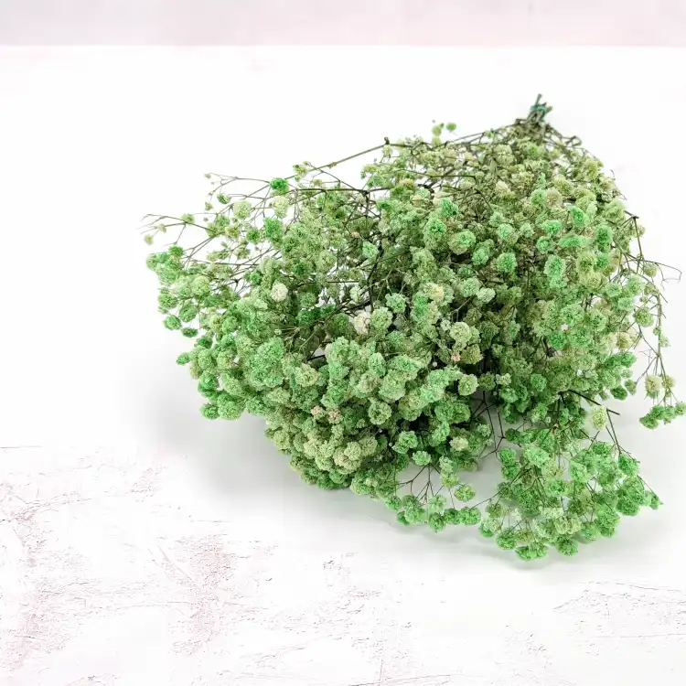 Preserved Gypsophila Pistachio Cream Gipsówka Stabilizowana Krem pistacjowy_3.png