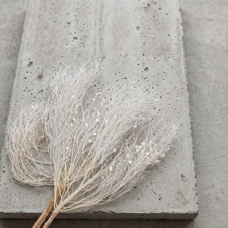 Trawa marzeńdream grass bleached_4.png
