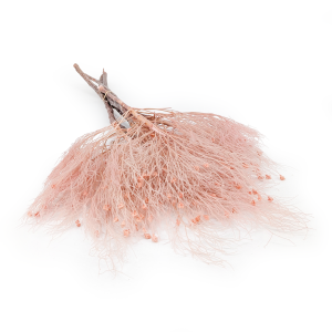 Trawa marzeńdream grass PINK.png