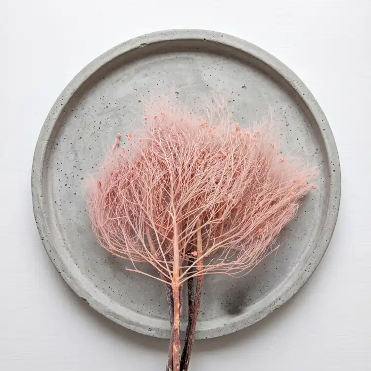 Trawa marzeńdream grass PINK_4.png