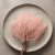 Trawa marzeńdream grass PINK_1.png
