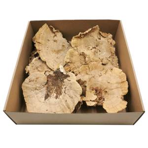 Hub Natur - 1 Stück