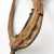 Pędy Bananowca Banana stick 1.jpg
