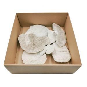 Hub Weiß - Packung mit 6