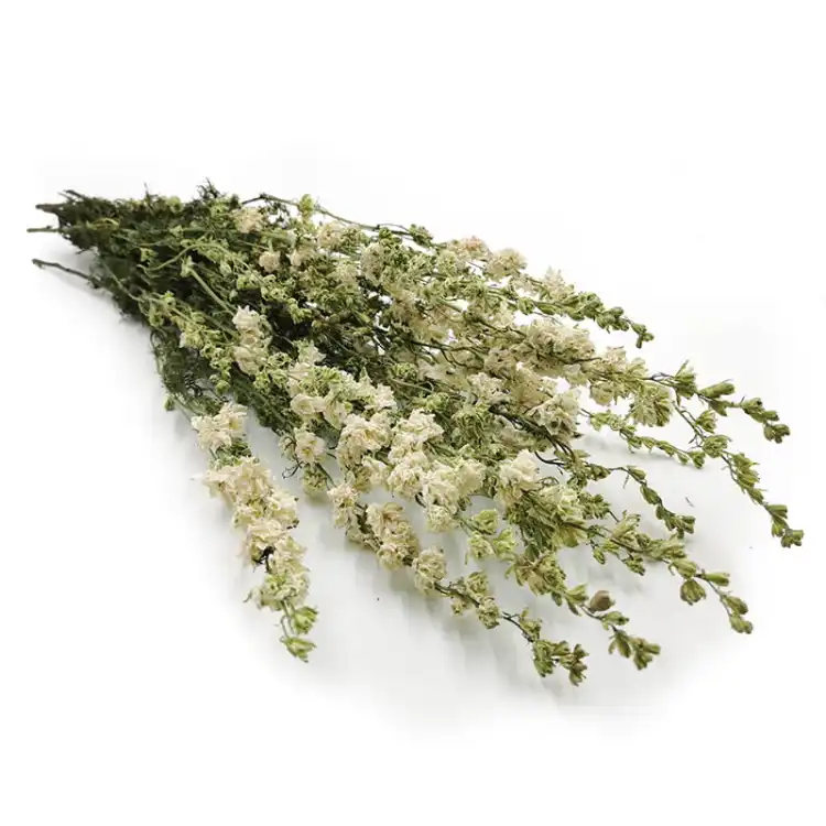 Delphinium białe Suszone ostróżka kwiat.jpg